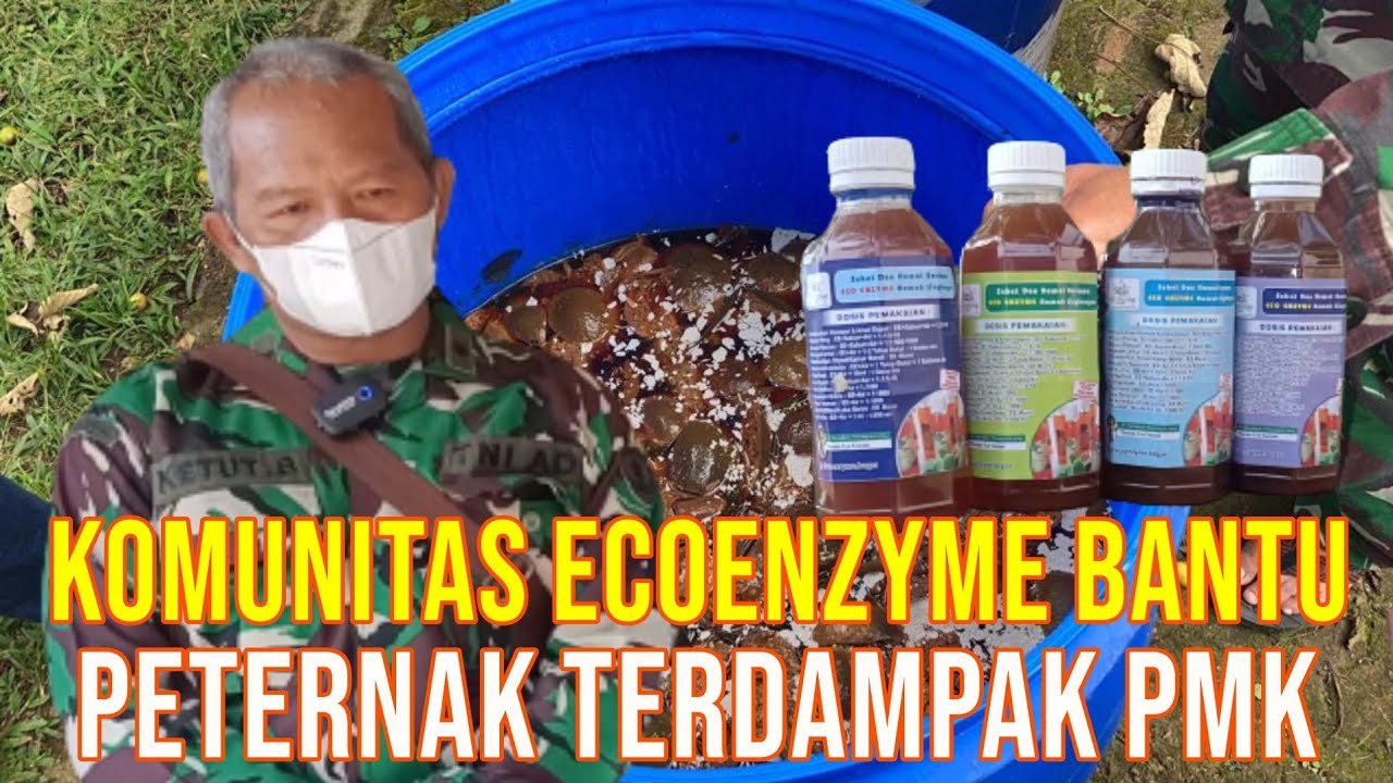 
                                 Penemuan-Ramuan-Eco-Enzyme-Ramah-Lingkungan-Hingga-Tangkal-PMK-Sapi